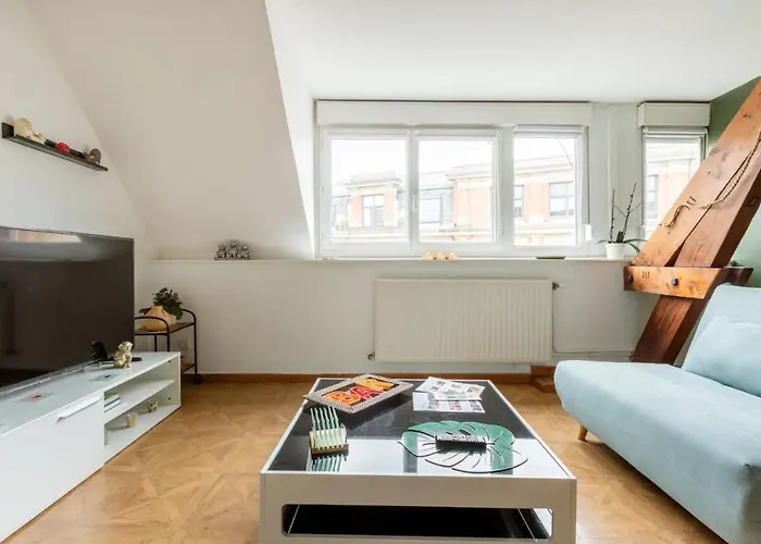 3 Cocooning, 54m2, Centre Appartement